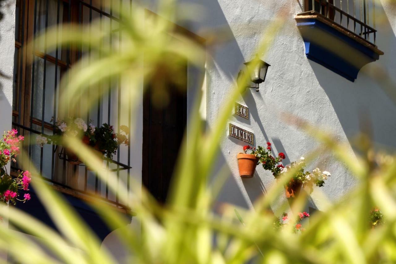 Casitas De La Sierra Villa Montejaque Eksteriør bilde